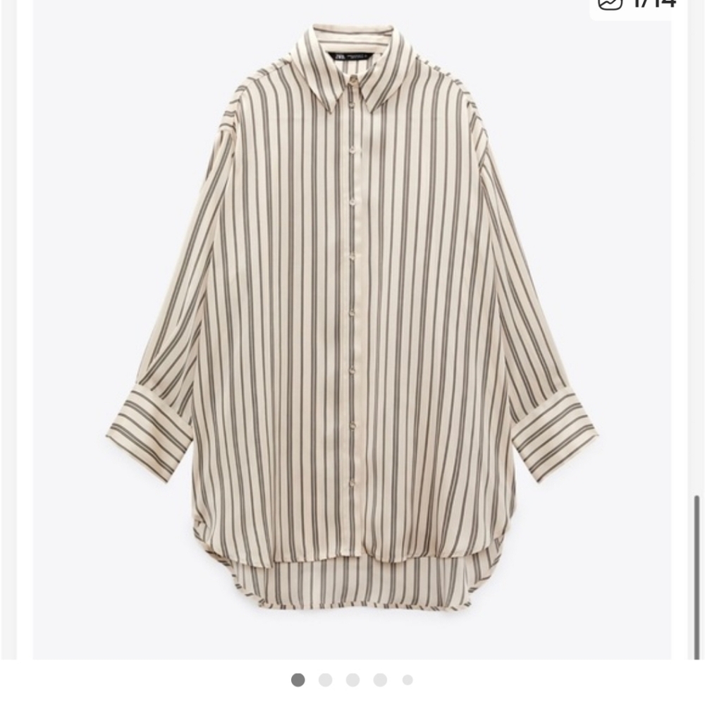 Zara Striped Button-Up Shirt